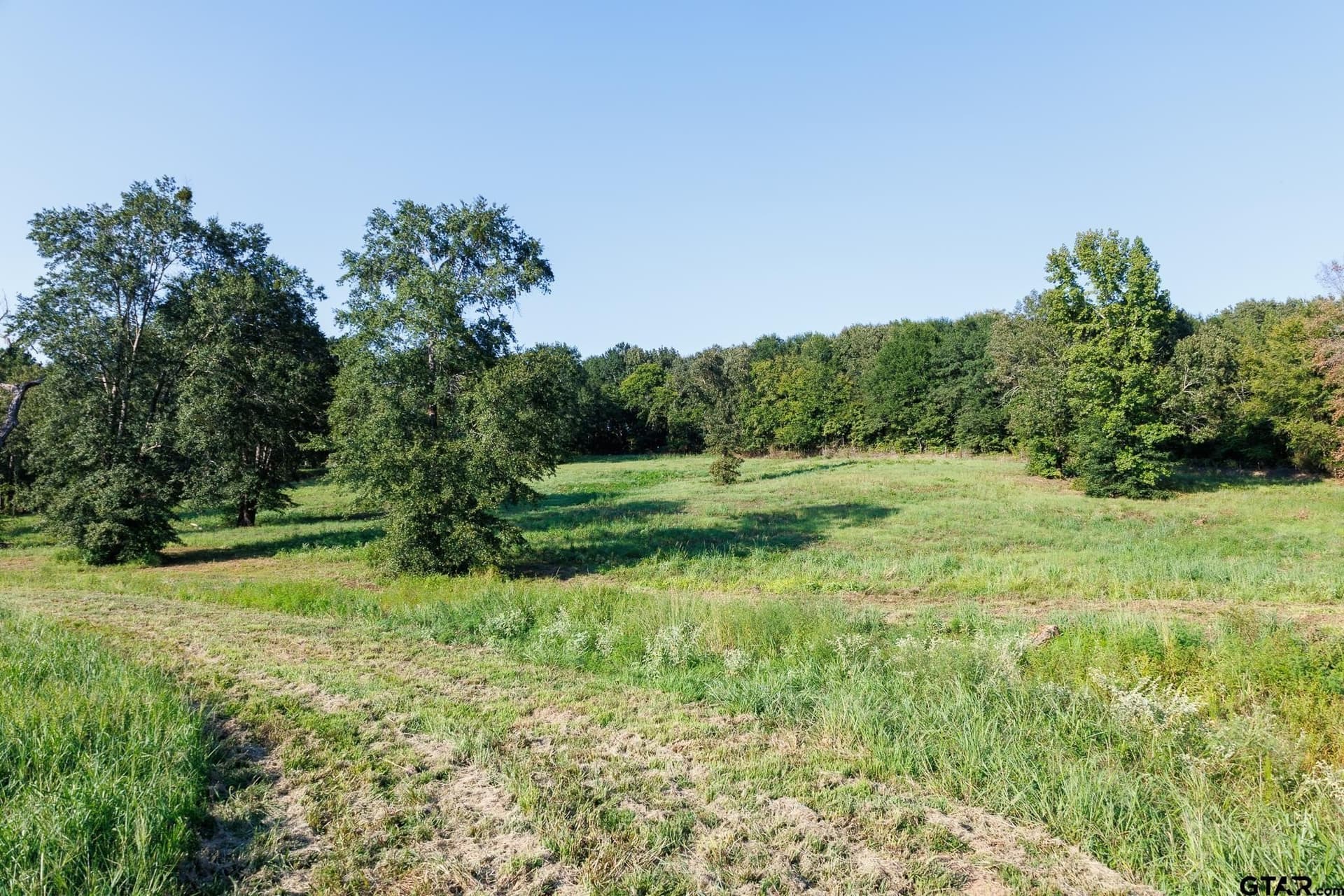 35 acres in Smith County - photo 24