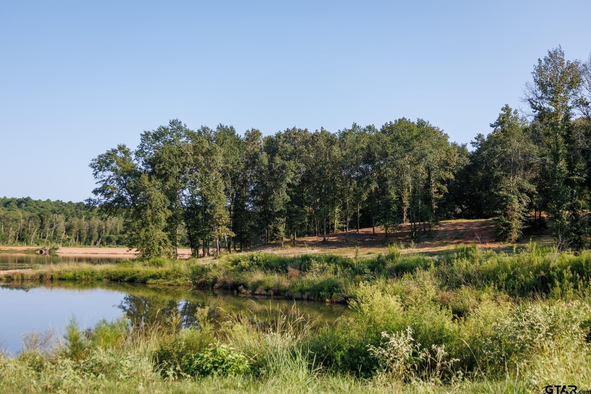 35 acres in Smith County - photo 6