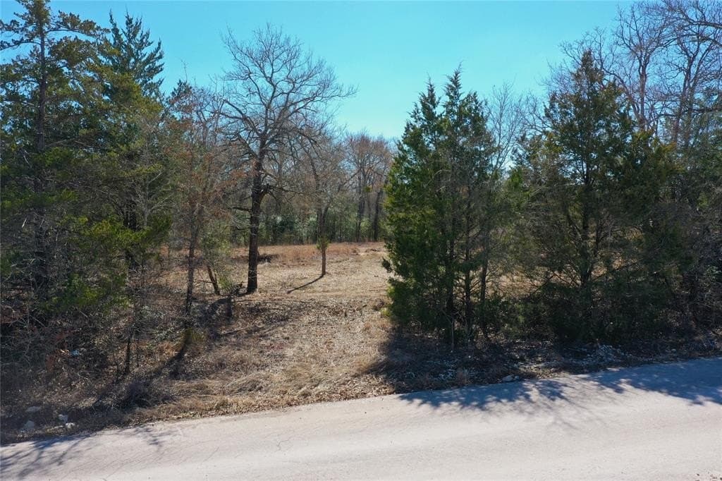 10.63 acres in Freestone County - photo 6