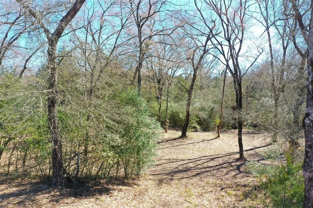 10.63 acres in Freestone County - photo 7