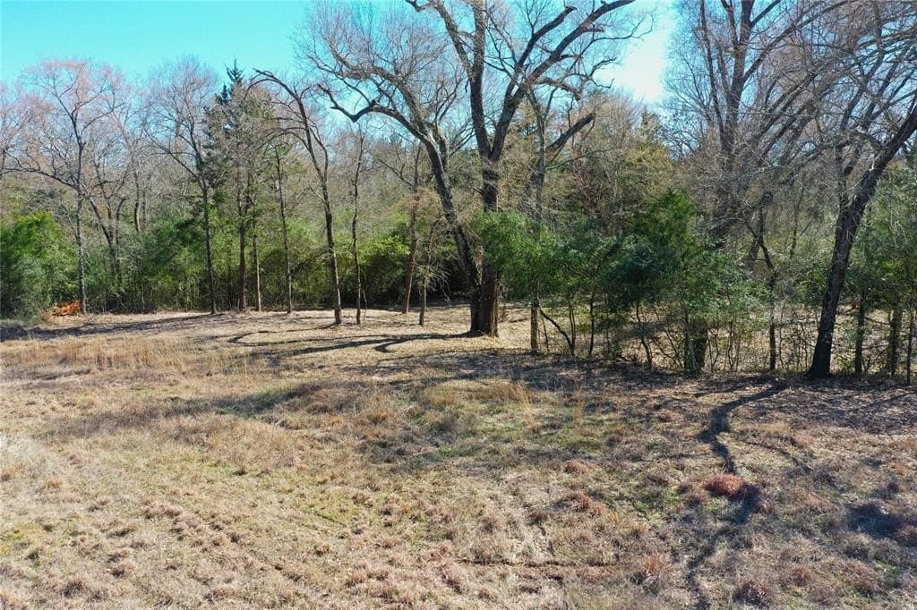 10.63 acres in Freestone County - photo 10