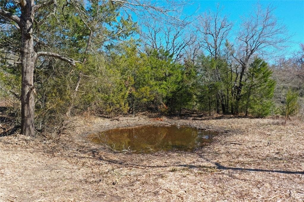 10.63 acres in Freestone County - photo 8