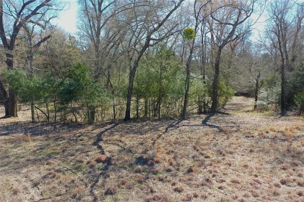 10.63 acres in Freestone County - photo 9