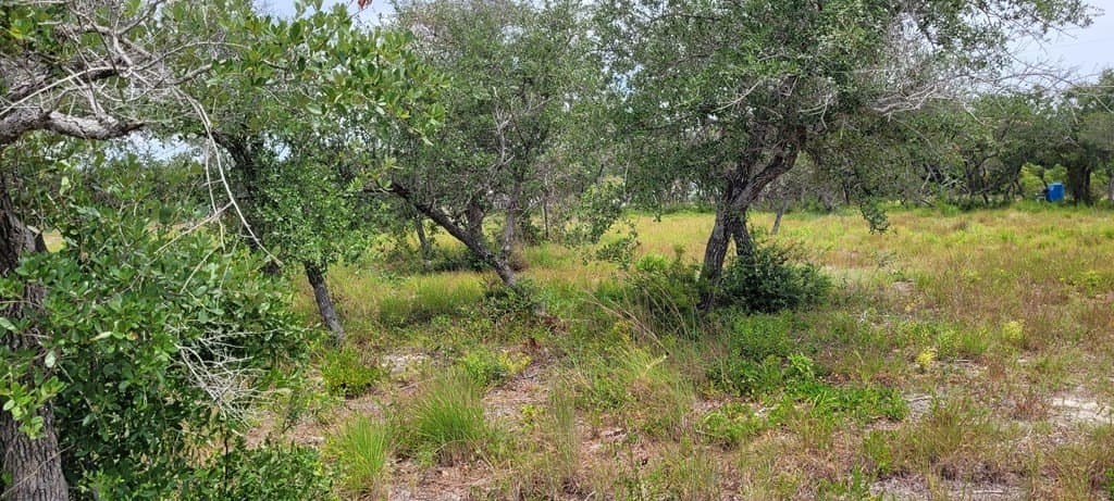 0 acres in Texas County - photo 3