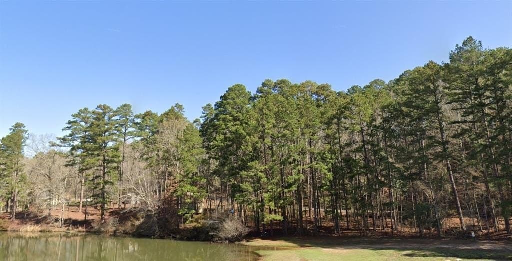 0.3 acres in Anderson County - photo 2