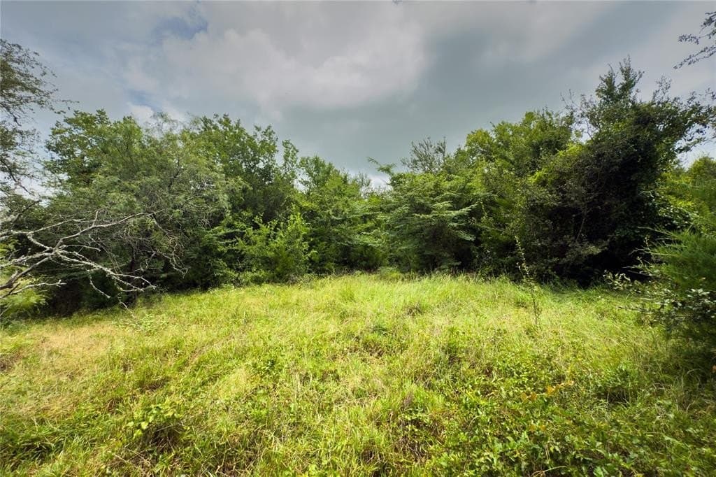 2.62 acres in Falls County - photo 18