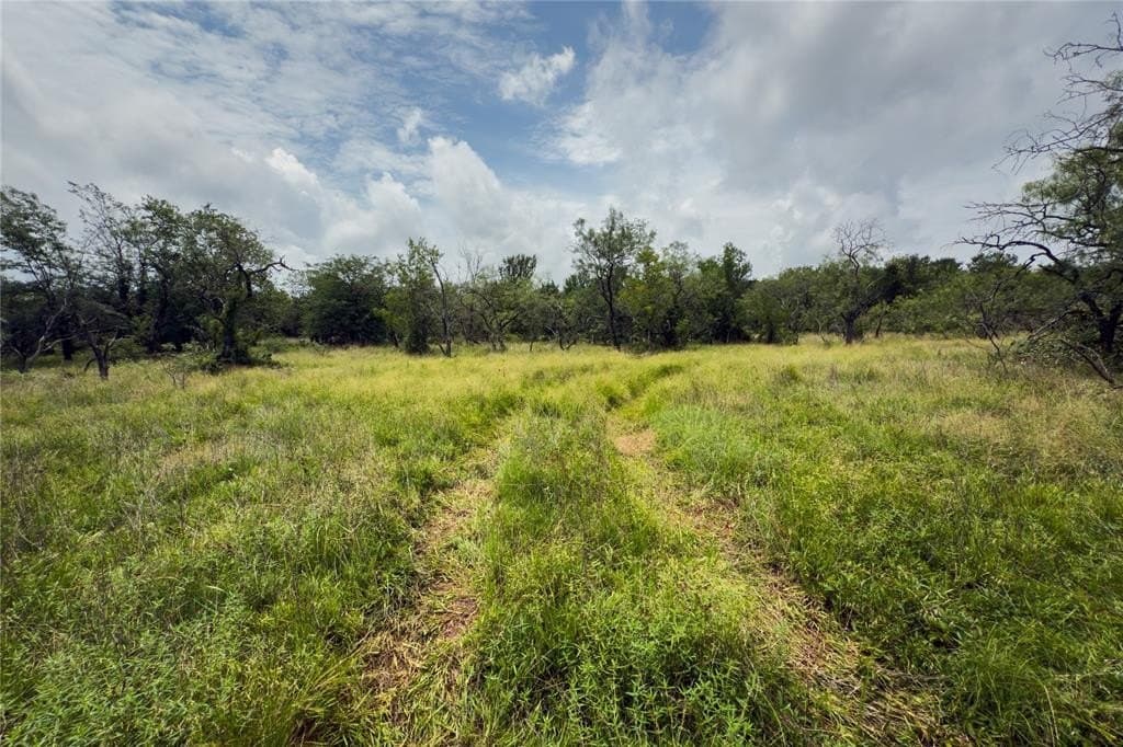 2.62 acres in Falls County - photo 6