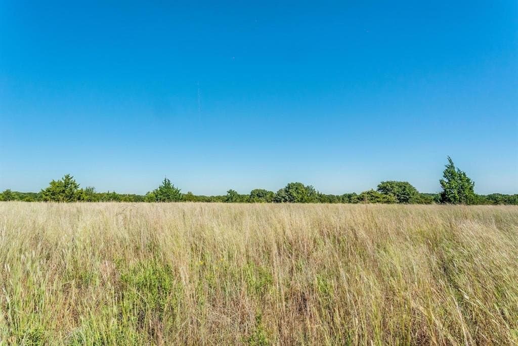 80.52 acres in Montague County - photo 14