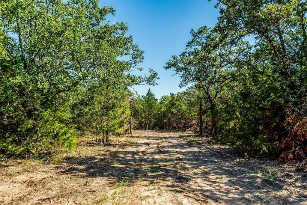 80.52 acres in Montague County - photo 20