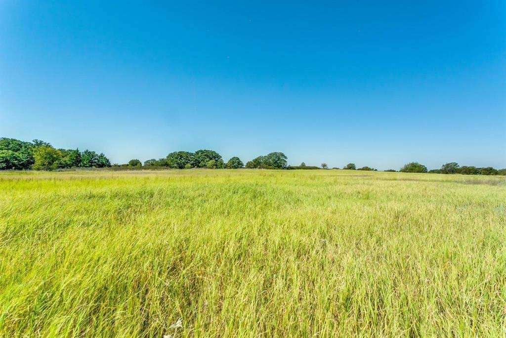 80.52 acres in Montague County - photo 16