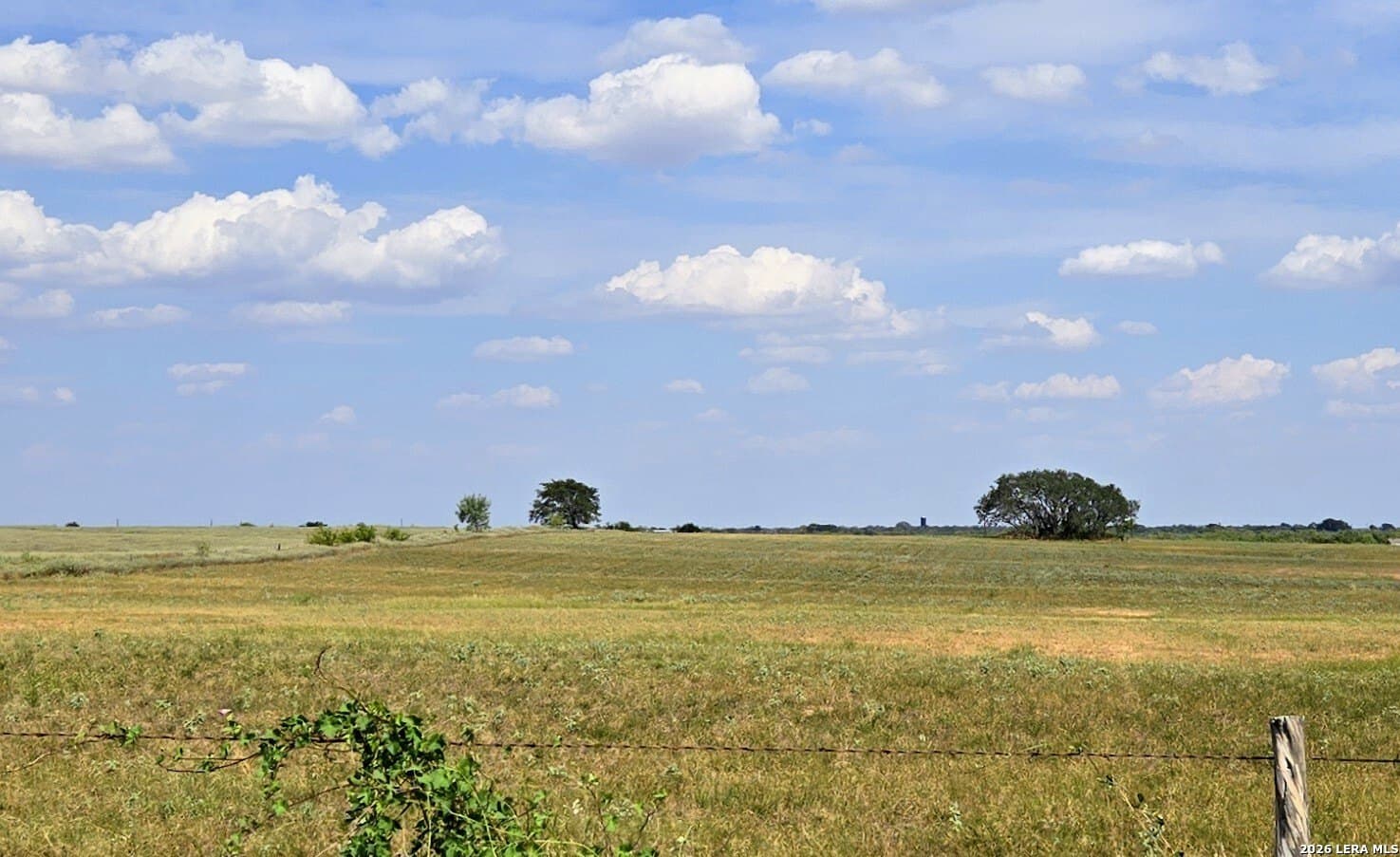 23.45 acres in Frio County - photo 3