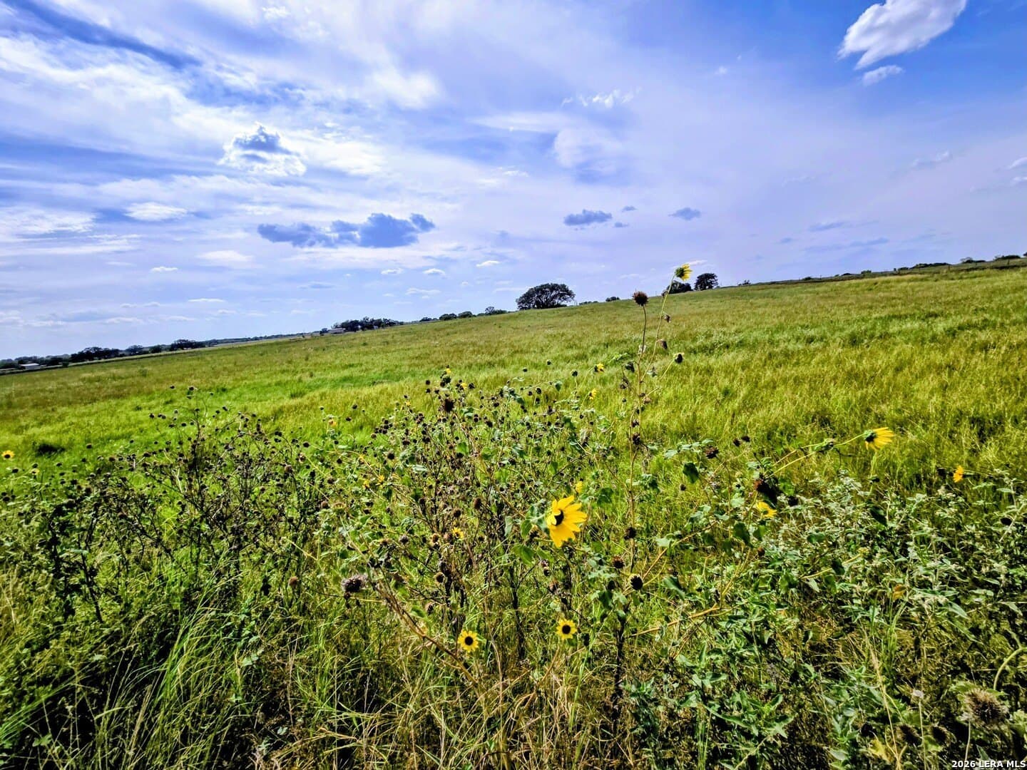 23.45 acres in Frio County - photo 10