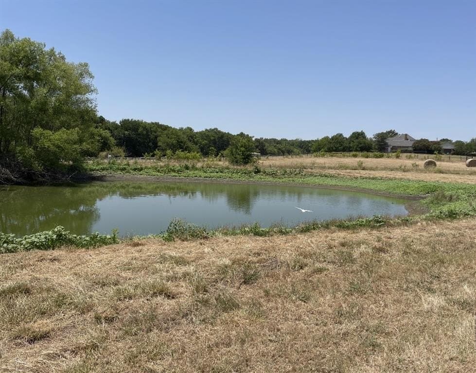 10.07 acres in Collin County - photo 9
