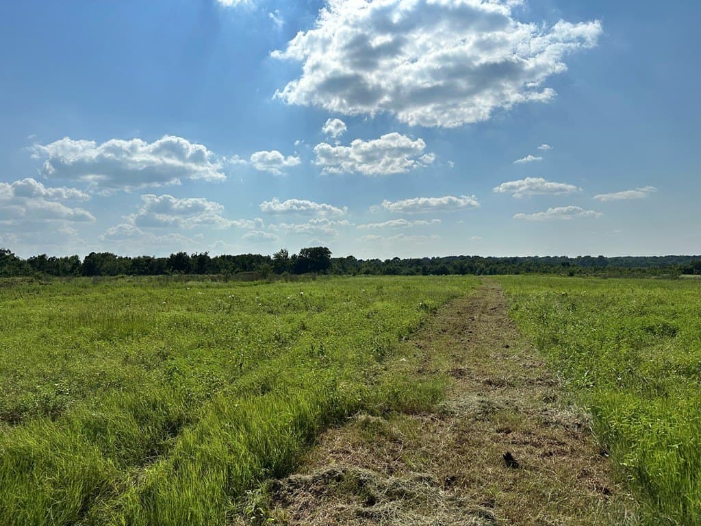 5 acres in ANDERSON County - photo 4