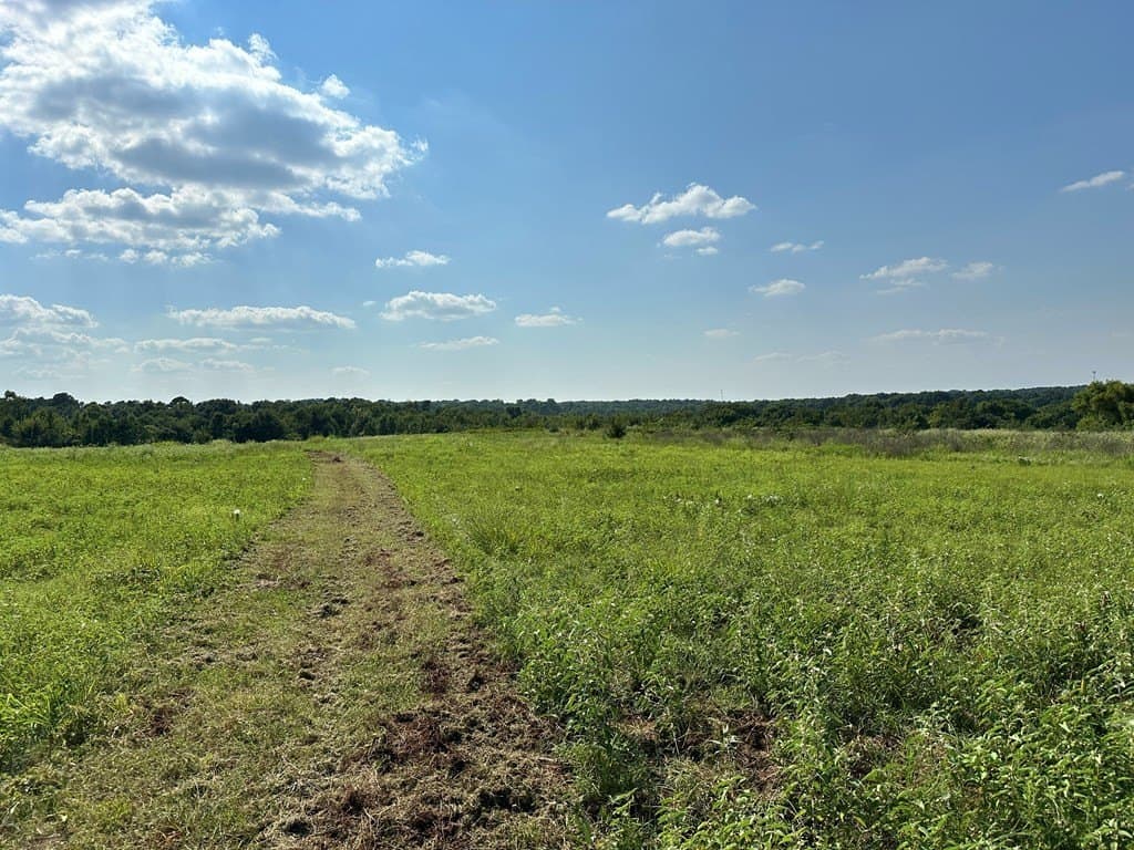 5 acres in ANDERSON County - photo 5
