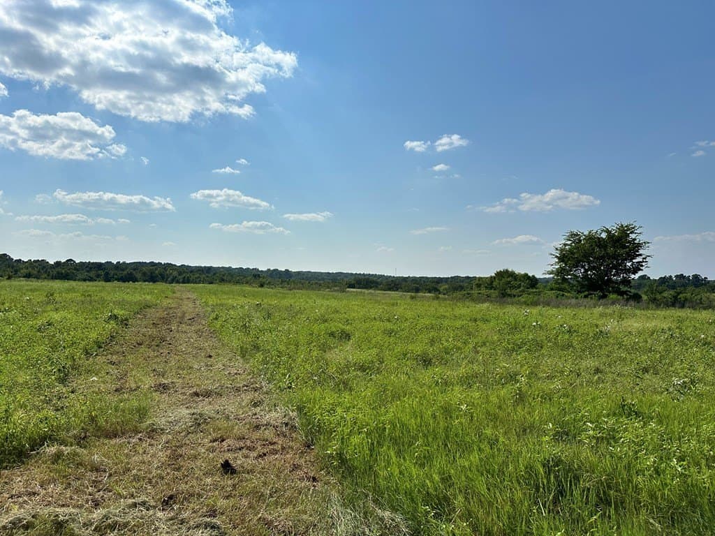 5 acres in ANDERSON County - photo 3