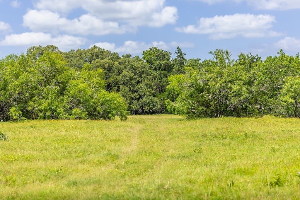 26.22 acres in Fayette County - photo 21