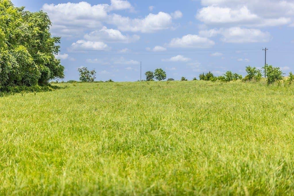 26.22 acres in Fayette County - photo 24