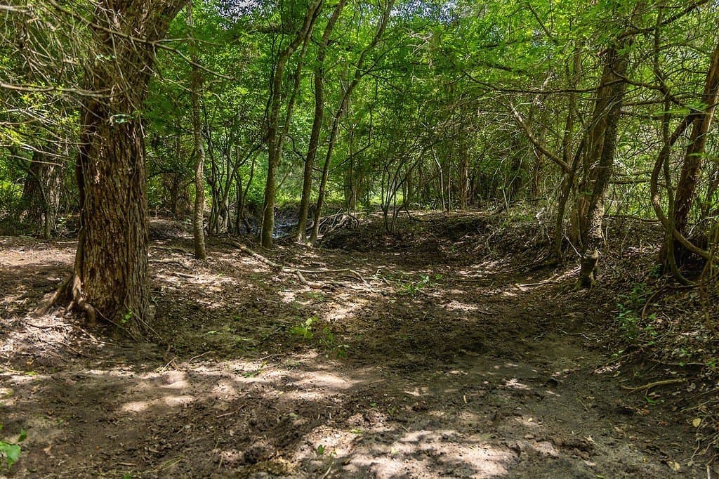 26.22 acres in Fayette County - photo 15