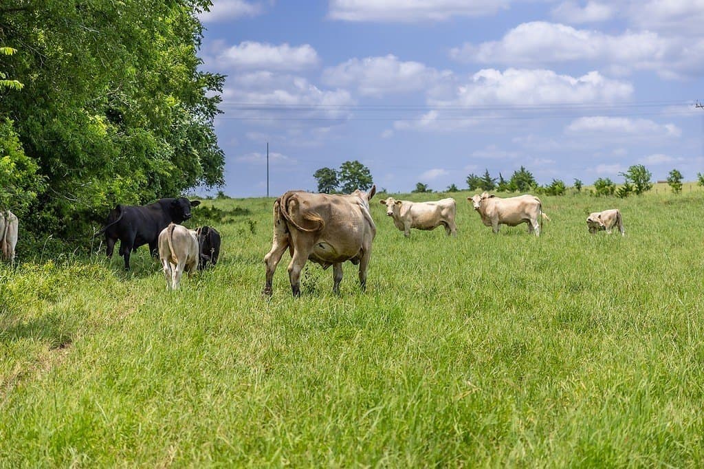 26.22 acres in Fayette County - photo 23
