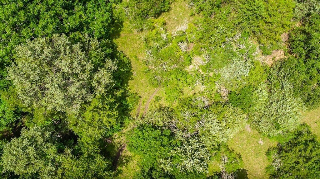 26.22 acres in Fayette County - photo 6