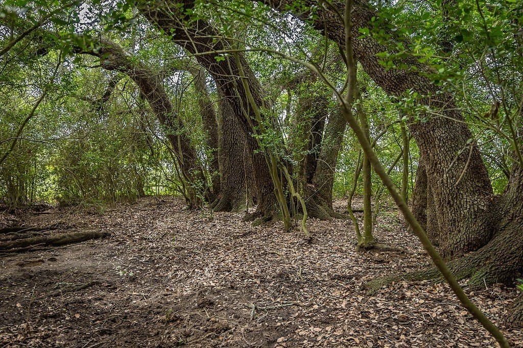 26.22 acres in Fayette County - photo 14