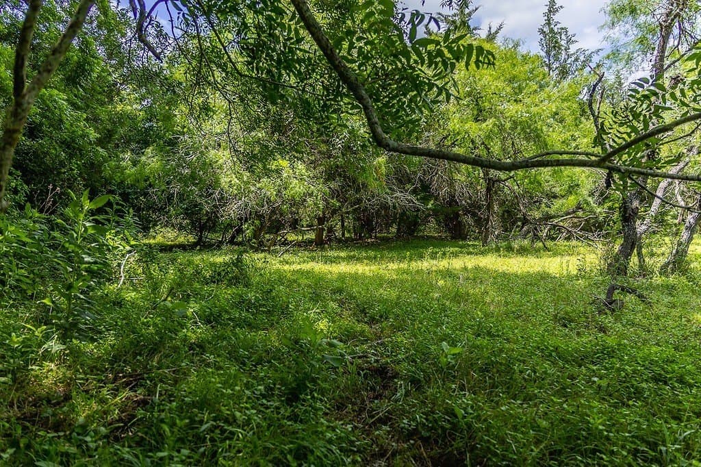 26.22 acres in Fayette County - photo 13