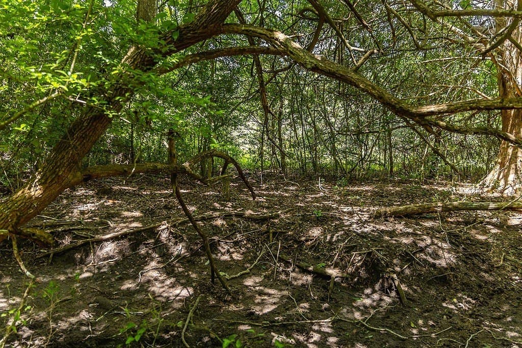 26.22 acres in Fayette County - photo 16