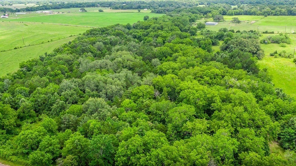 26.22 acres in Fayette County - photo 4