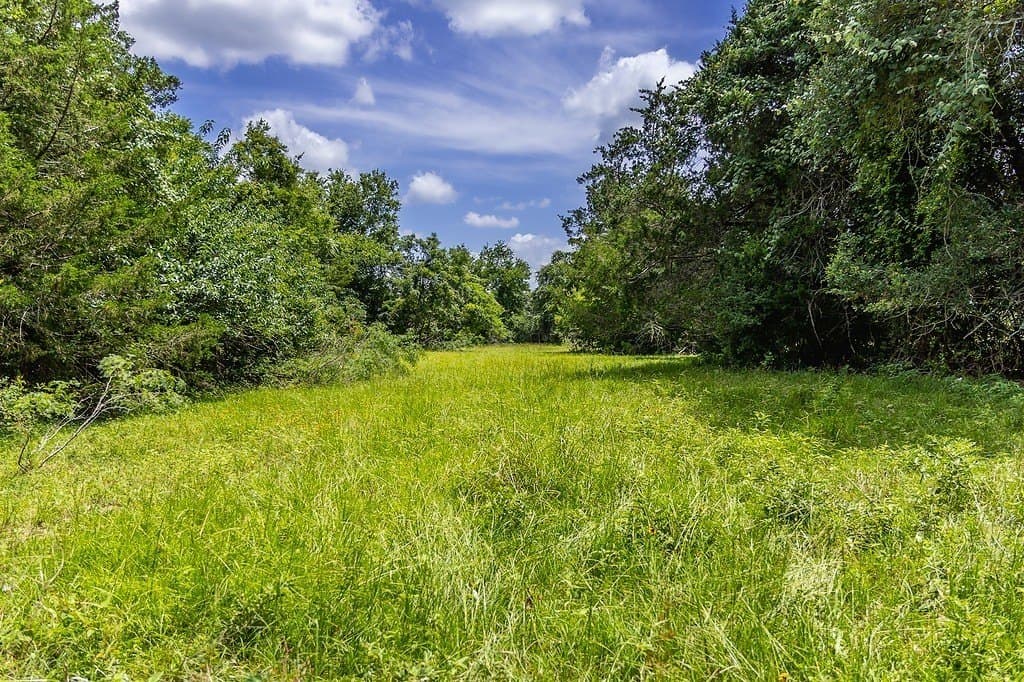 26.22 acres in Fayette County - photo 8