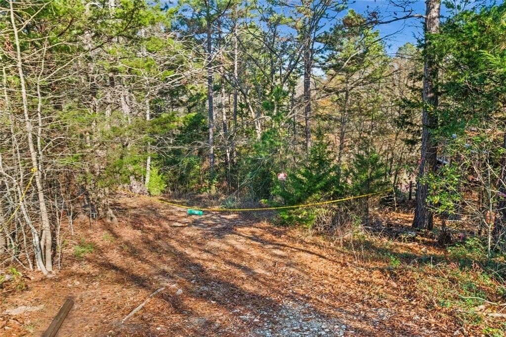18.6 acres in Smith County - photo 14