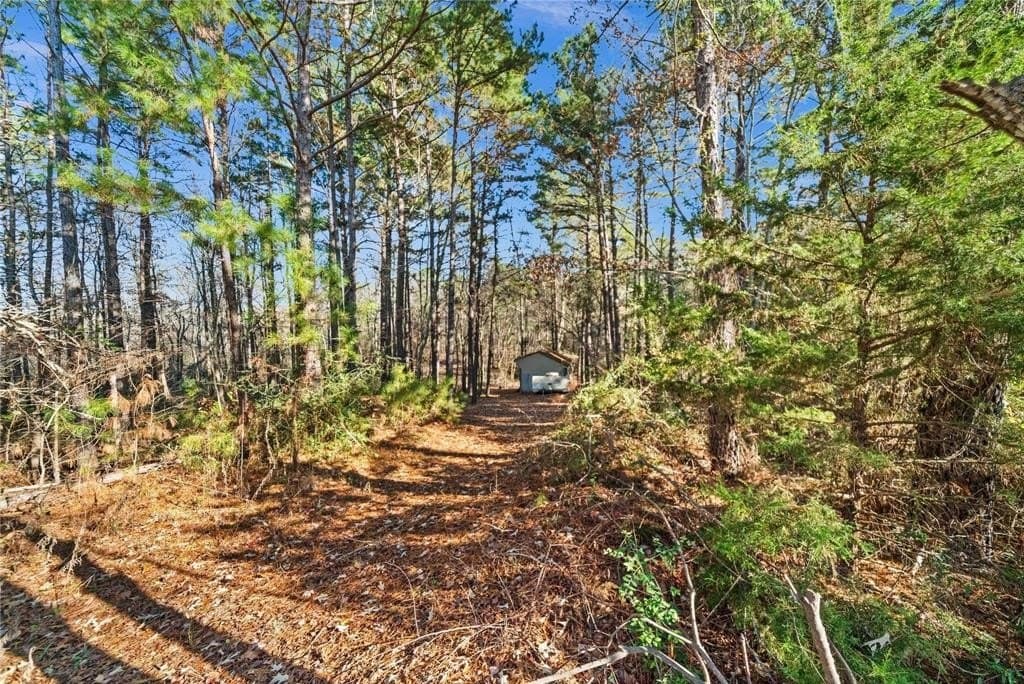 18.6 acres in Smith County - photo 18