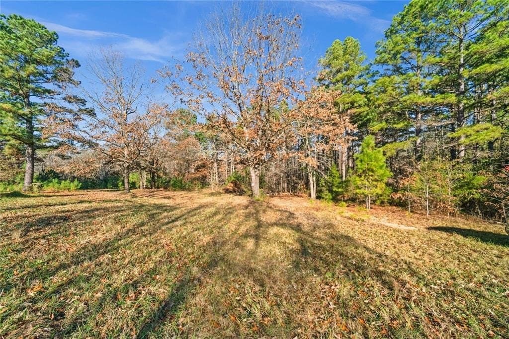 18.6 acres in Smith County - photo 17