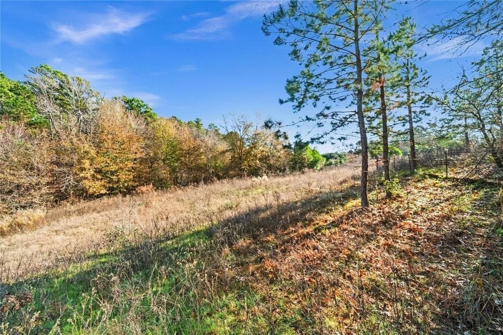 18.6 acres in Smith County - photo 15