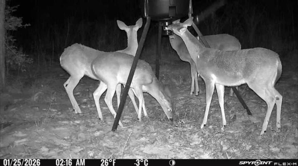 18.6 acres in Smith County - photo 2