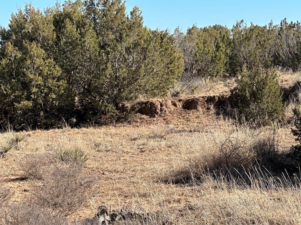 160 acres in Scurry County - photo 3