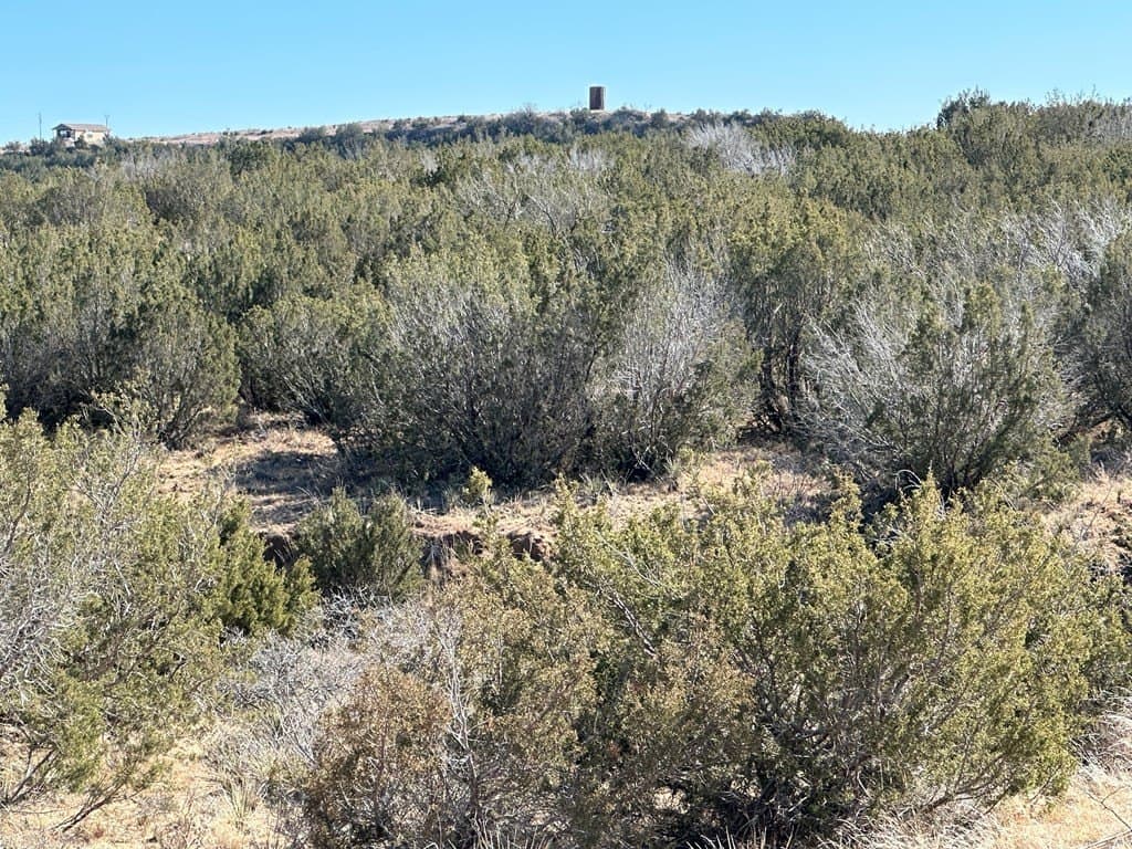 160 acres in Scurry County - photo 4