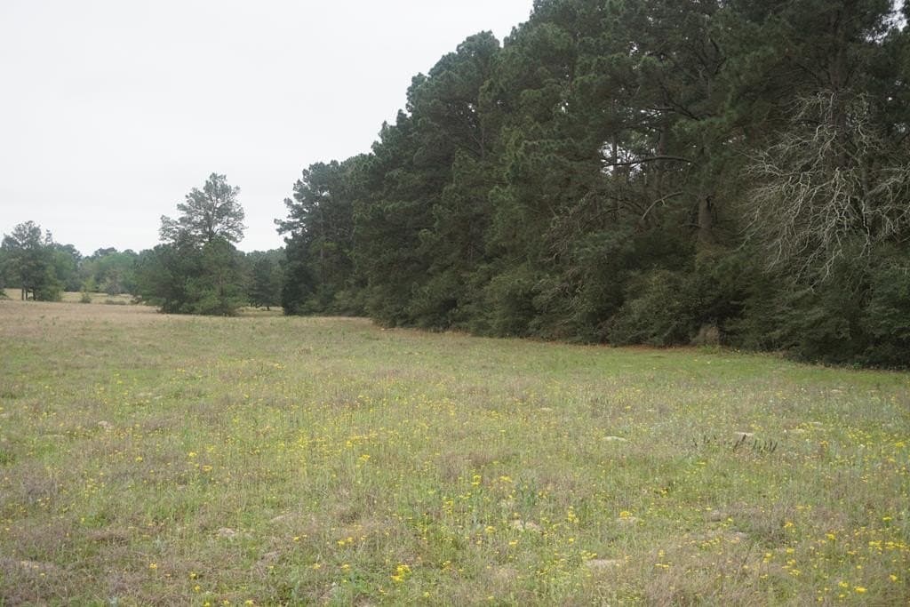 10 acres in Grimes County - photo 3