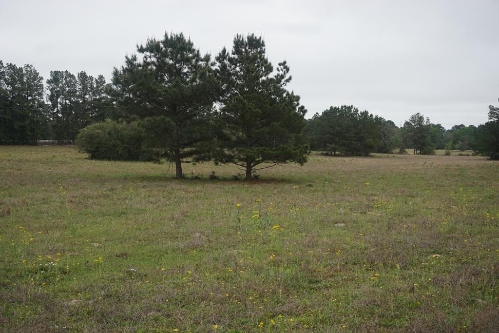 10 acres in Grimes County - photo 5
