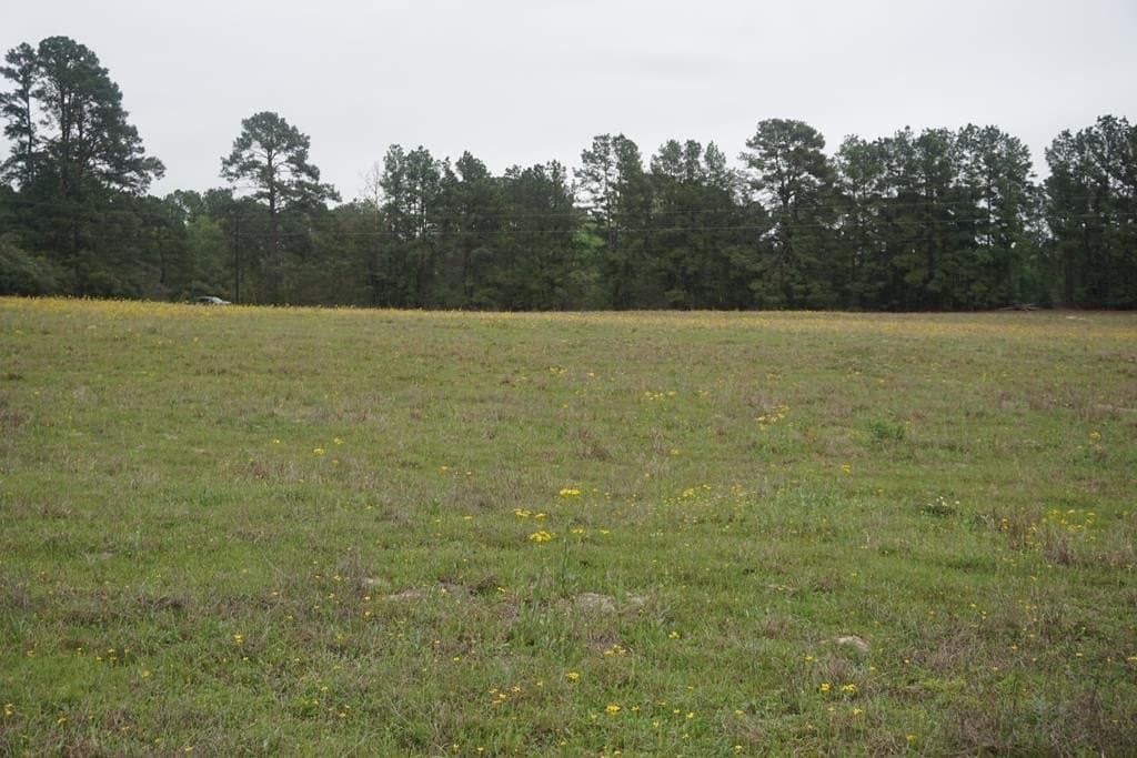 10 acres in Grimes County - photo 4