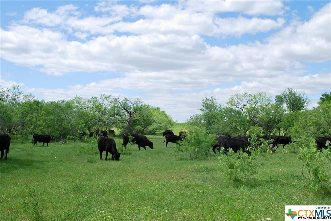173.18 acres in Guadalupe County - photo 38