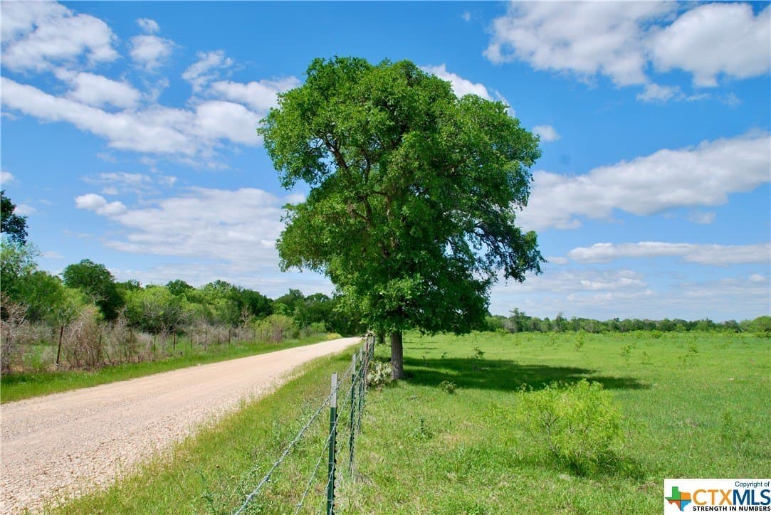 173.18 acres in Guadalupe County - photo 9