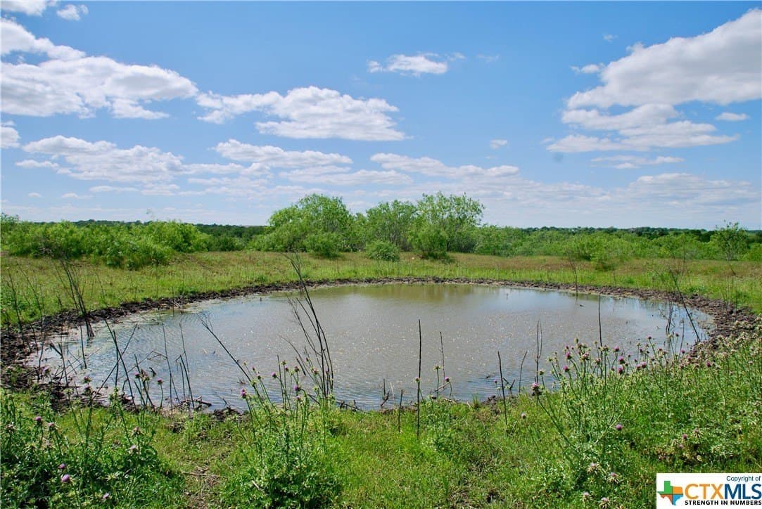 173.18 acres in Guadalupe County - photo 42