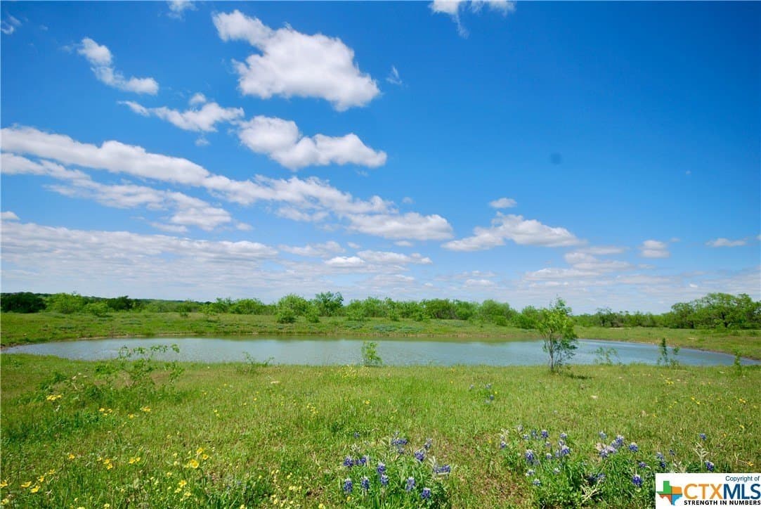 173.18 acres in Guadalupe County - photo 6