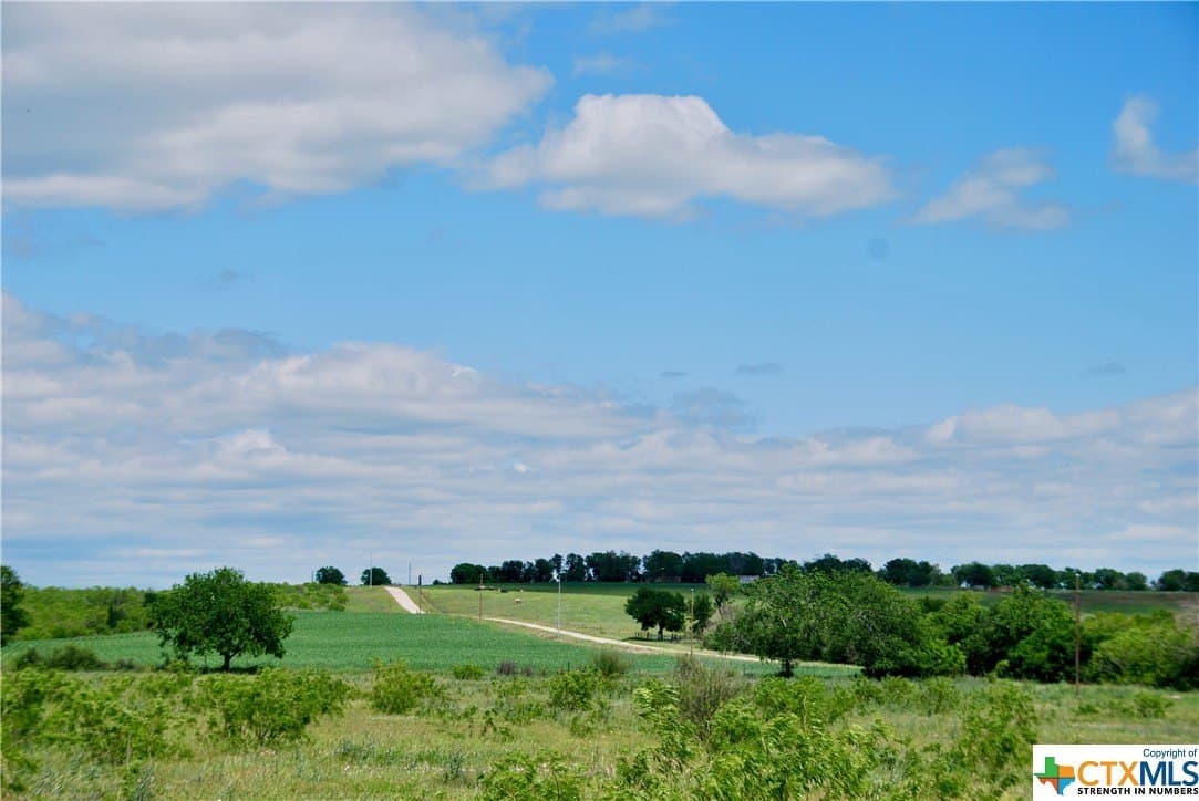 173.18 acres in Guadalupe County - photo 7
