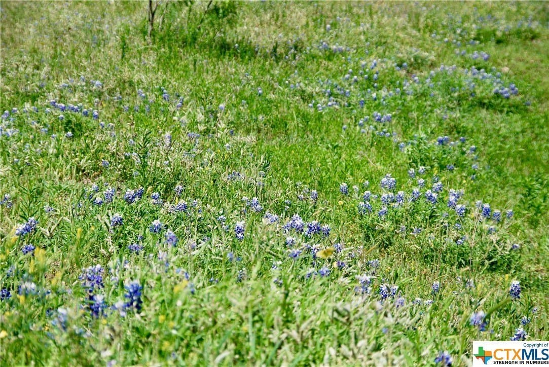 173.18 acres in Guadalupe County - photo 16