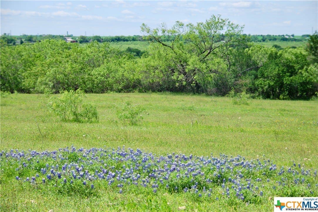 173.18 acres in Guadalupe County - photo 18