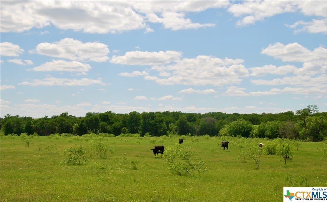 173.18 acres in Guadalupe County - photo 43