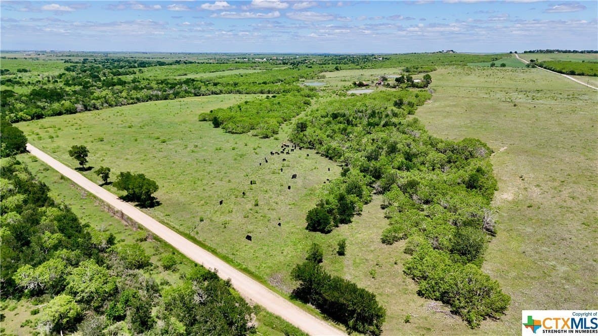 173.18 acres in Guadalupe County - photo 11