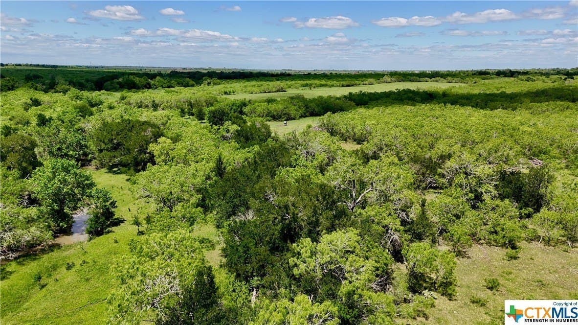 173.18 acres in Guadalupe County - photo 29